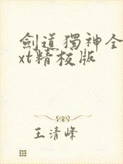 剑道独神全本txt精校版