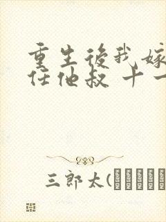 重生后我嫁了前任他叔 十一檀