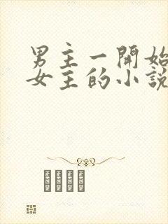 男主一开始厌恶女主的小说