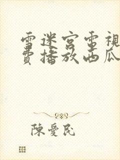 雪迷宫电视剧免费播放西瓜影院封面