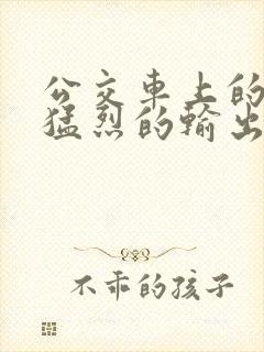 公交车上的诗请猛烈的输出阅读