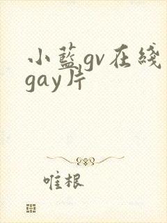小蓝gv在线看gay片