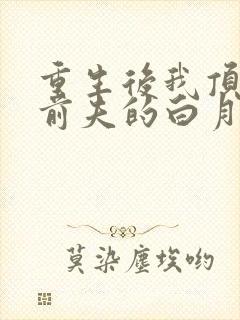 重生后我顶替了前夫的白月光结局