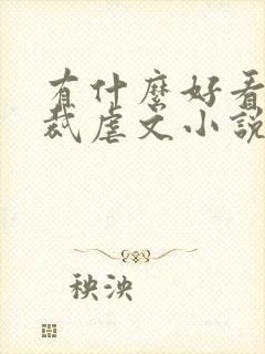 有什么好看的总裁虐文小说推荐