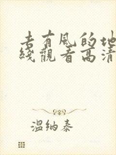 去有风的地方在线观看高清电视剧