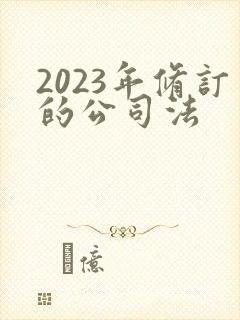 2023年修订的公司法