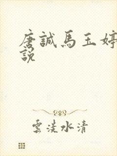 唐诚马玉婷的小说封面