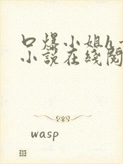 口爆小姐h章节小说在线阅读