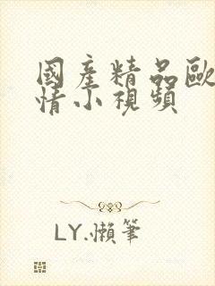 国产精品欧美激情小视频