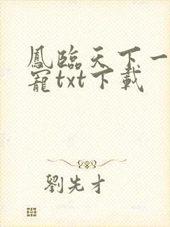 凤临天下一后千宠txt下载