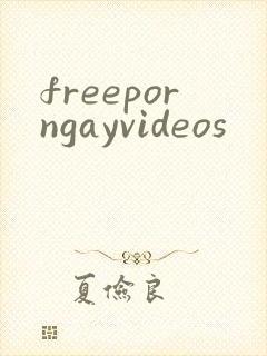 freeporngayvideos