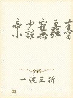 帝少宠妻有点甜小说无弹窗