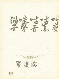 猫咪咕咕叫像鸽子声音怎么回事