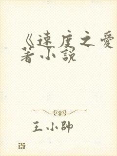 《速度之爱》原著小说