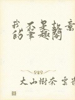 我不是故意出轨的笔趣阁