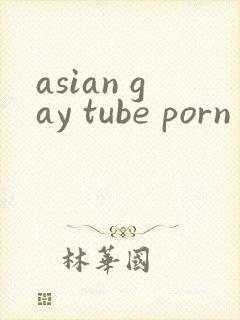 asian gay tube porn封面