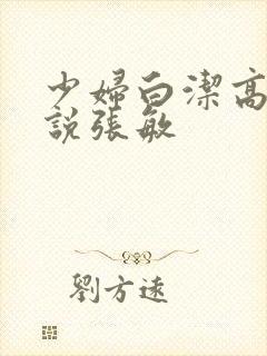 少妇白洁高义小说张敏