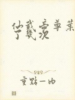 仙武帝尊叶辰死了几次