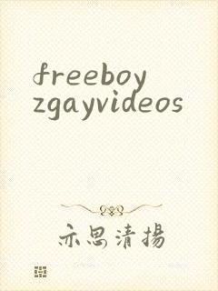 freeboyzgayvideos