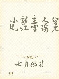 小说主人公李道风江雪瑶免费阅读封面