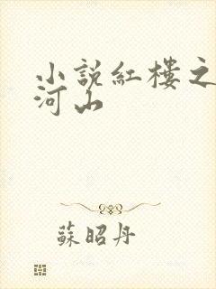 小说红楼之扶摇河山