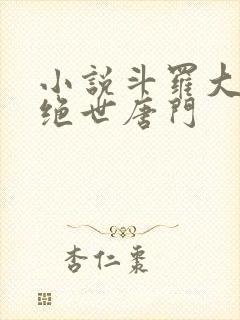 小说斗罗大陆2绝世唐门
