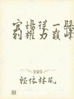 官场从一县之长到权力巅峰