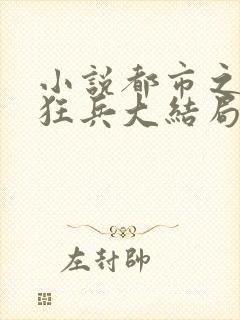 小说都市之最强狂兵大结局封面