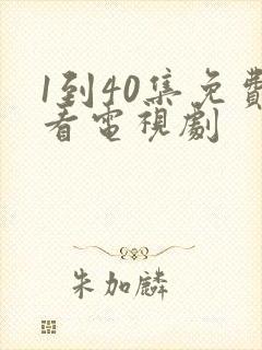 1到40集免费看电视剧