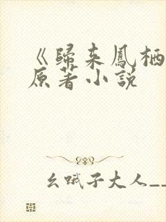 《归来凤栖处》原著小说