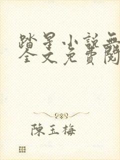 踏星小说无弹窗全文免费阅读