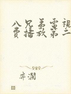 八兄弟电视剧免费播放第二集