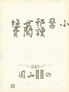 绝世邪医小说免费阅读封面