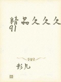 精品久久久久久91