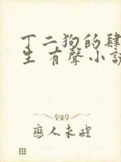 丁二狗的肆意人生 有声小说封面