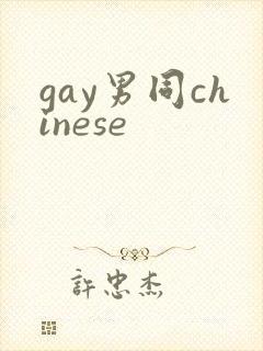 gay男同chinese