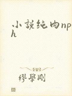 小说纯肉np高h封面