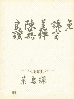 良陈美锦免费阅读无弹窗封面