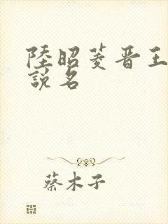 陆昭菱晋王的小说名