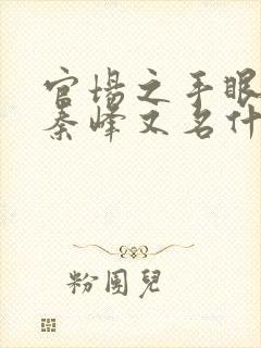 官场之手眼通天秦峰又名什么书