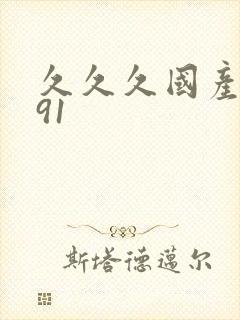 久久久国产精品91