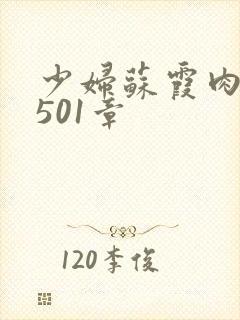 少妇苏霞肉欲第501章