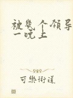 被几个领导玩弄一晚上