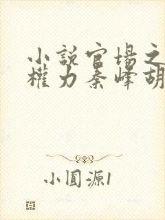 小说官场之绝对权力秦峰胡佳云免费阅读封面