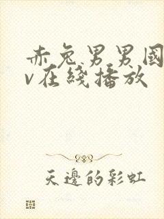 赤兔男男国产gv在线播放