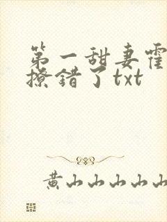 第一甜妻霍先生撩错了txt