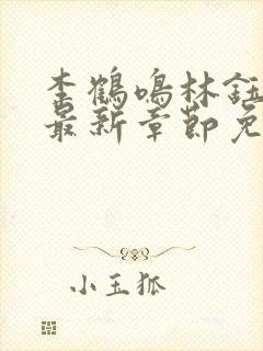 李鹤鸣林钰小说最新章节免费阅读