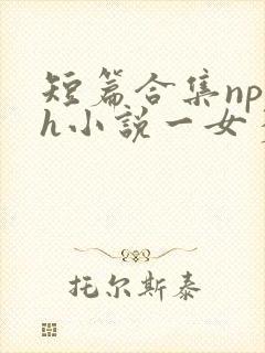 短篇合集np高h小说一女多男