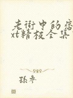 老街中的痞子txt精校全集下载