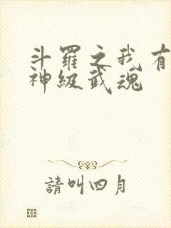 斗罗之我有十大神级武魂